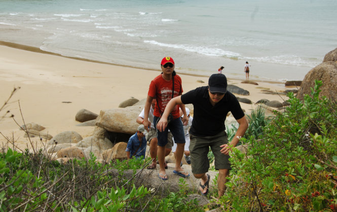 [-]Vì[-]sao[-]nhiều[-]người[-]"dính[-]sốt"[-]Tôi[-]thấy[-]hoa[-]vàng[-]trên[-]cỏ[-]xanh?